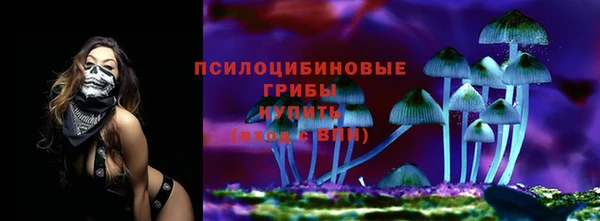 PSILOCYBIN Рославль