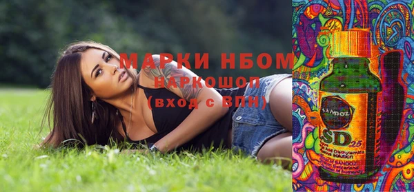 PSILOCYBIN Рославль