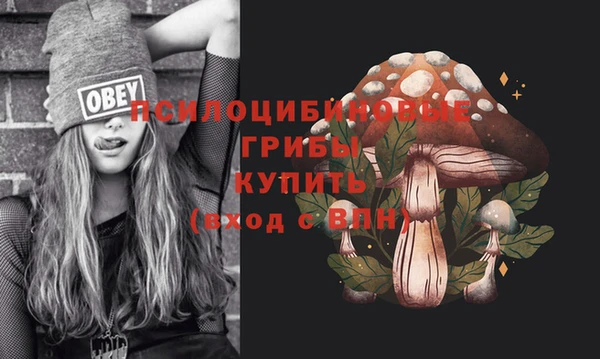 PSILOCYBIN Рославль